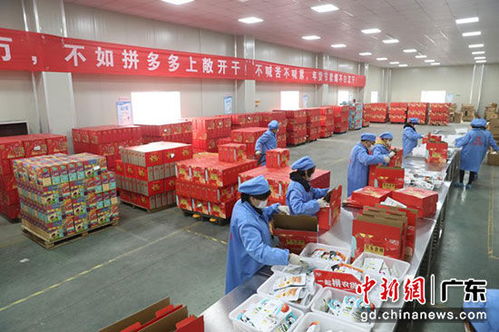 拼多多年貨節銷售額破2億單，廣東購買力領跑全國，食品品類表現突出