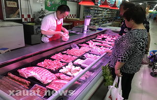 食品安全無小事 土木工程學院暑期社會實踐探索食品安全與互聯網服務融合