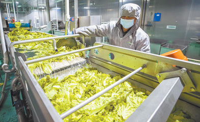 綠色消費新風尚 從餐桌開始，擁抱環保健康新生活
